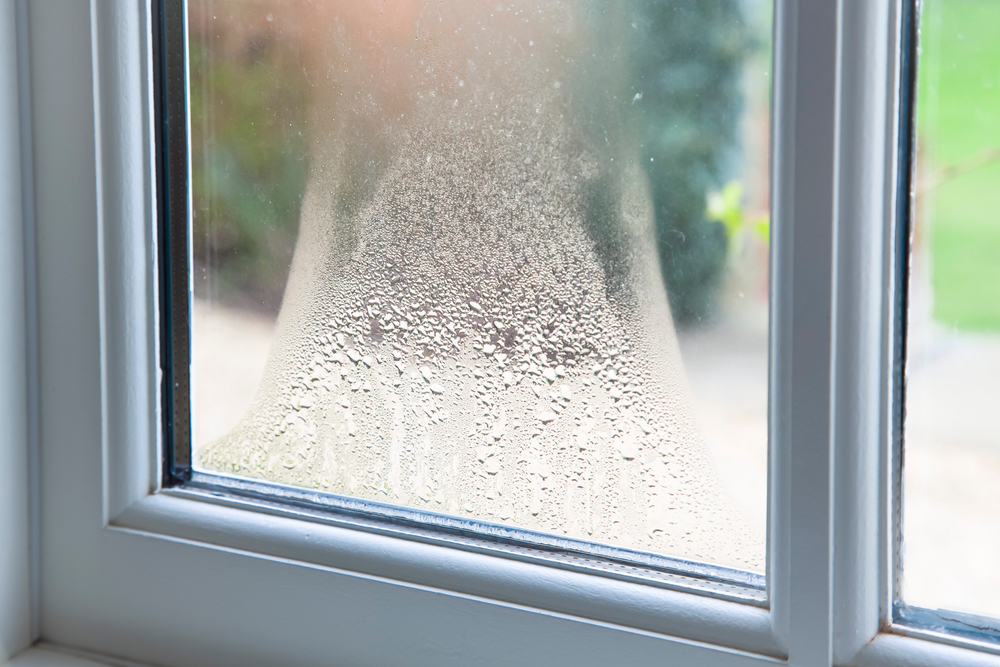 Glazing Repairs